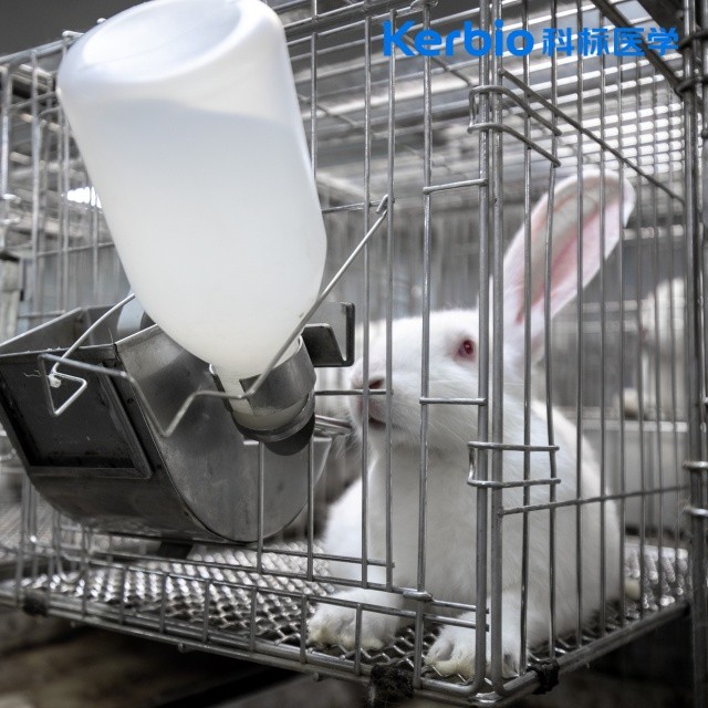 皮膚刺激和皮膚致敏試驗(yàn)