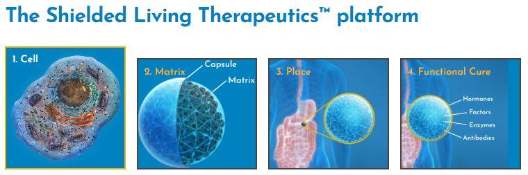 Shielded Living Therapeutics平臺(tái)（圖片來源：Sigilon Therapeutics官方網(wǎng)站）